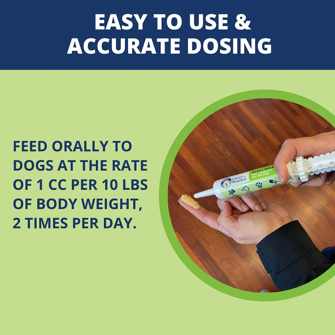 Gel Probiótico Y Prebiótico Oral Para Perros Equilibrio Digestivo Sabor Coco