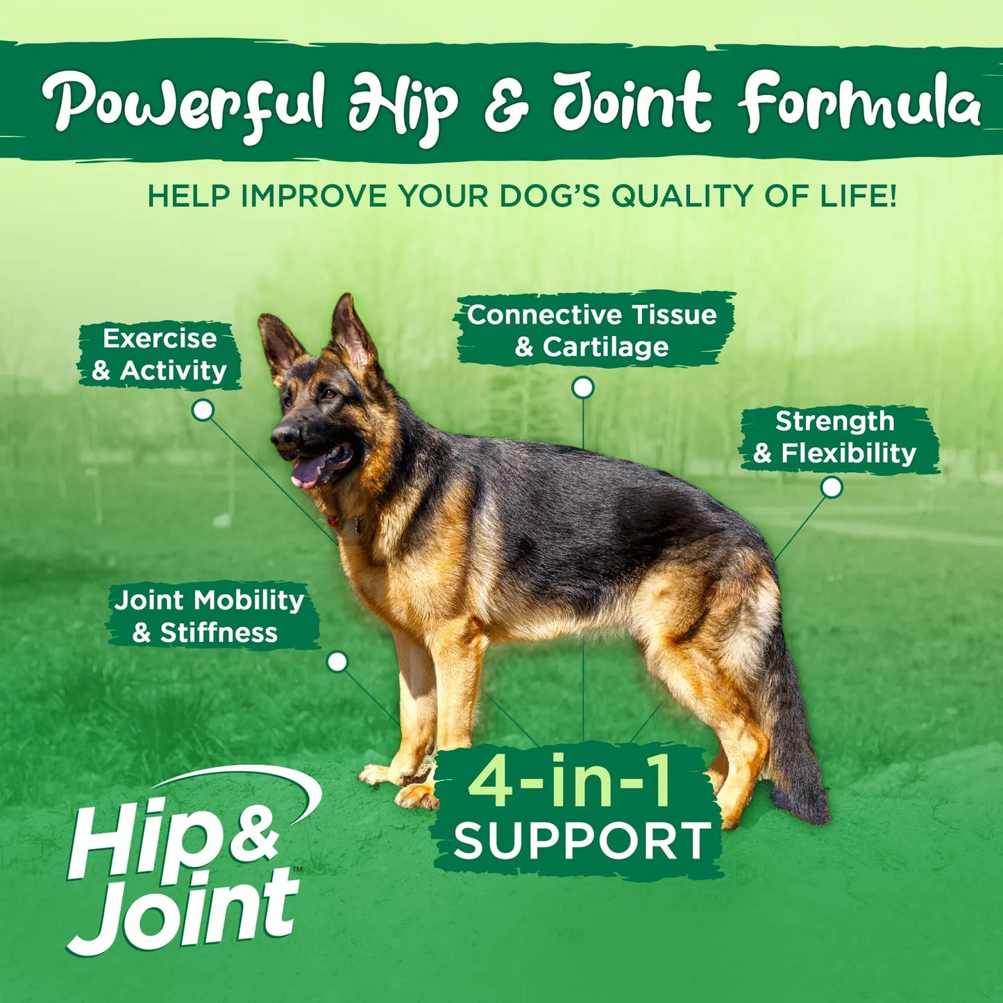 Suplemento Natural Para Cadera Y Articulaciones De Perros Con Glucosamina Y MSM 120 Tabletas