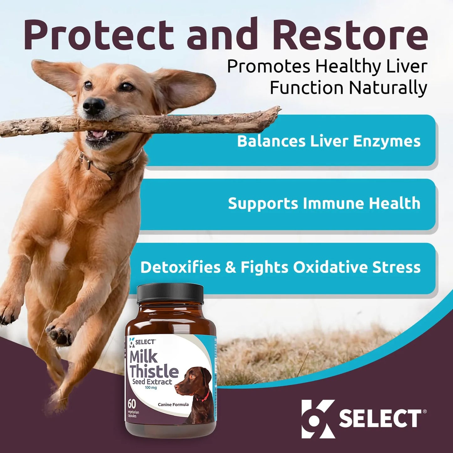 Cardo Mariano Para Perros 100 Mg 60 Cápsulas Salud Hepática Canina