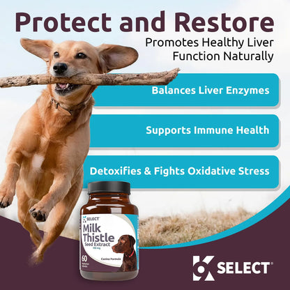 Cardo Mariano Para Perros 100 Mg 60 Cápsulas Salud Hepática Canina