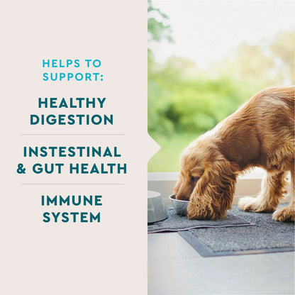 Probiótico Para Perros Soporte Digestivo Nutre Bacterias Intestinales 180 Masticables