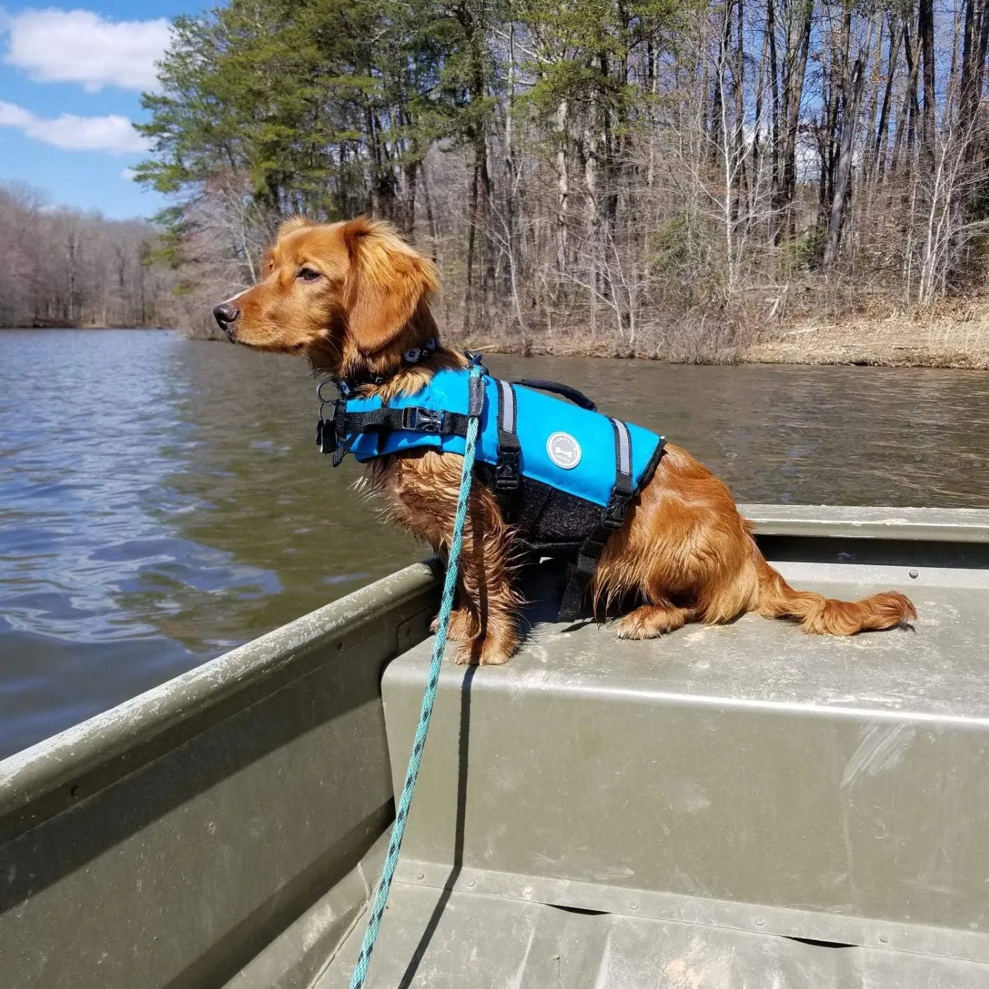 Chaleco Salvavidas Para Perro Vivaglory Ripstop Reflectante Con Asa De Rescate