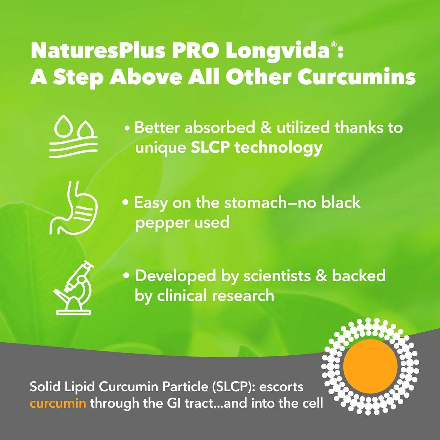 Natures Plus Pro Longvida Curcumina 1000 Mg 60 Mini Pestañas Antioxidante Sin Omg Vegano
