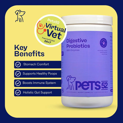 Pets52 Probióticos Digestivos Para Perros Con Enzimas Apoyo Intestinal 60 Masticables