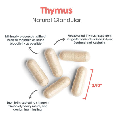 Timo Glandular Crudo Liofilizado 1000 Mg 75 Cápsulas Hipoalergénico Allergy Research Group
