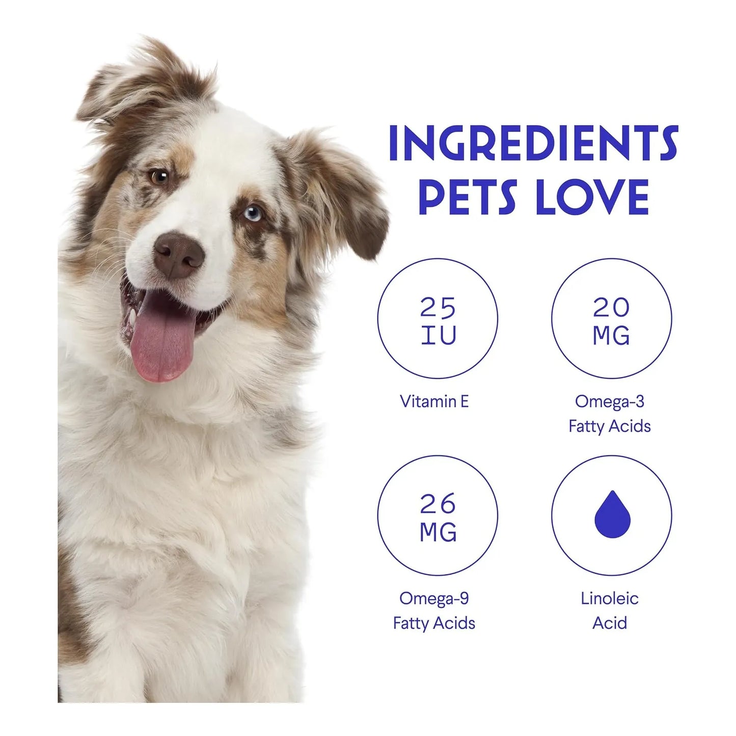 Aceite De Salmon Para Perros Omega 3 6 Epa Dha Piel Y Pelaje Saludable