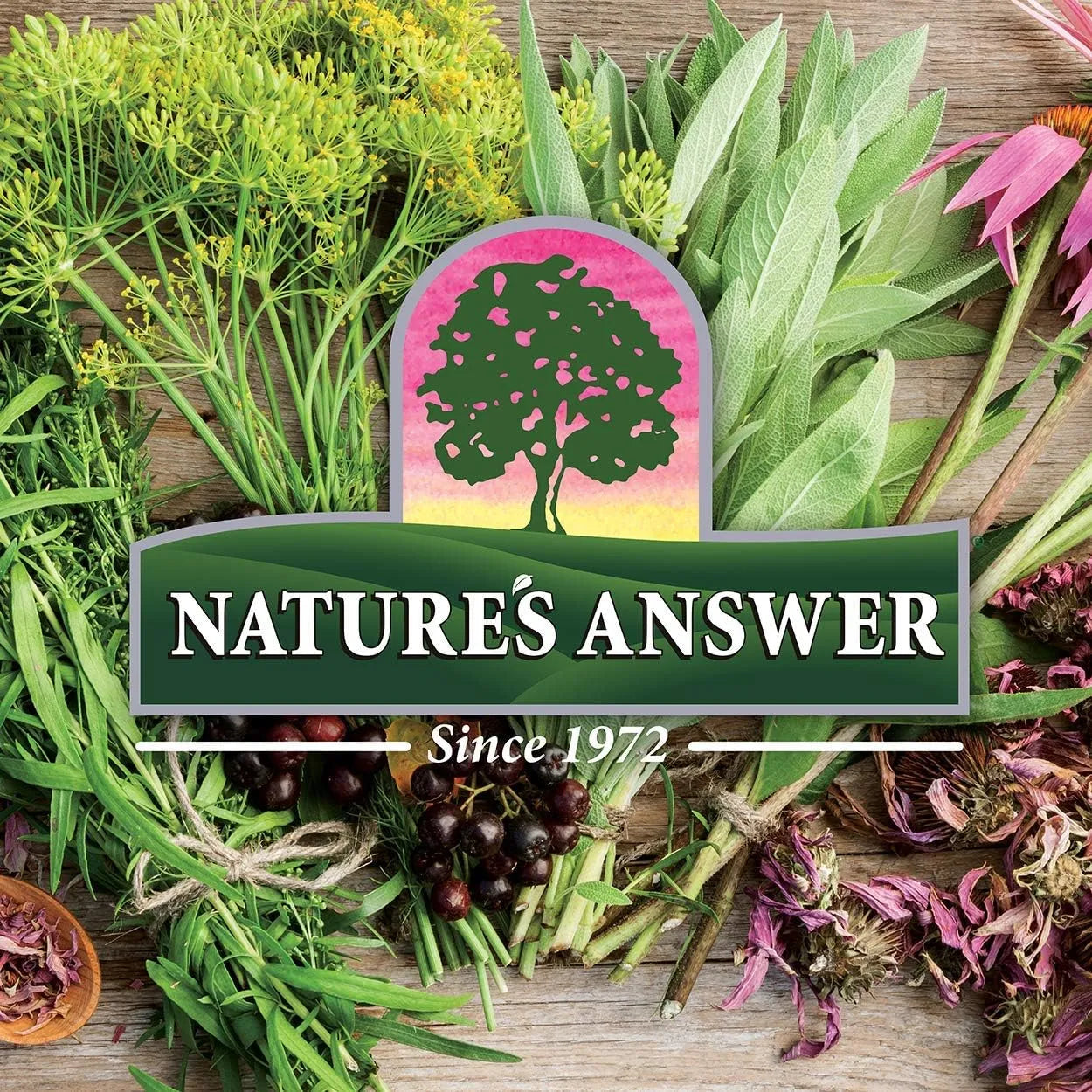 Extracto De Eyebright 30 Ml Apoya Salud Ocular Visión Clara Natural Sin Omg