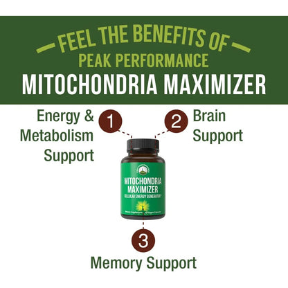 Maximizador Mitocondrial Coq10 Pqq Activo Con Aceite Mct 60 Capsulas Energia Celular