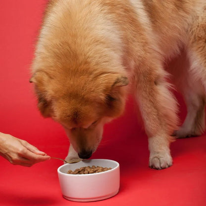 Suplemento Natural Omega 3 Y 6 Con Semillas De Lino Para Perros Todas Las Edades