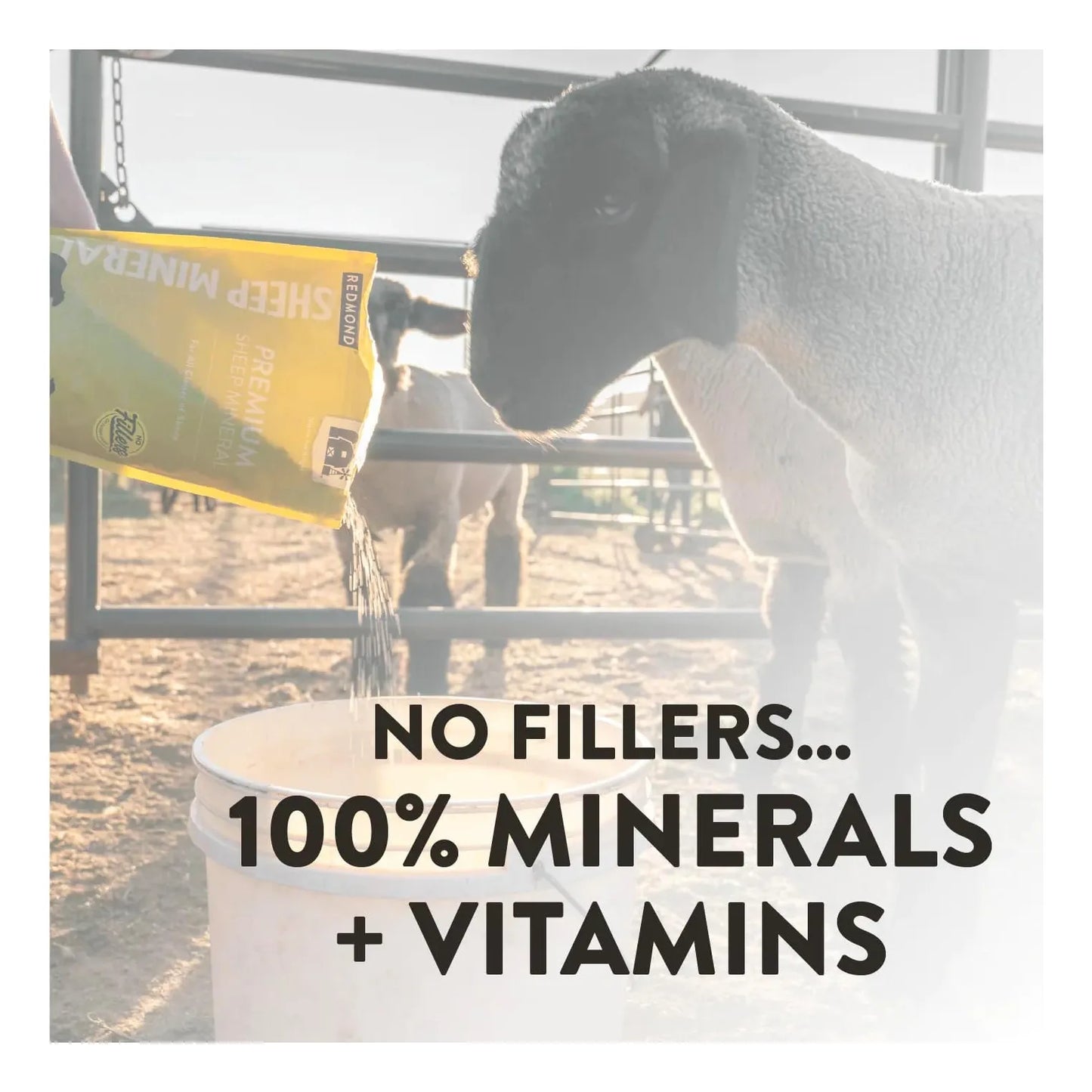 Minerales Esenciales De Oveja Naturales 2.27 Kg Para Salud Y Crecimiento