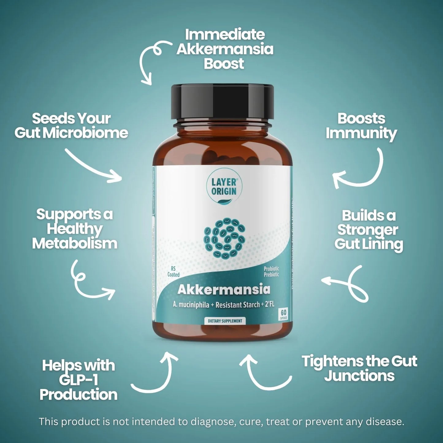 Probiótico Akkermansia Muciniphila Con Prebiótico PureHMO Salud Intestinal Premium