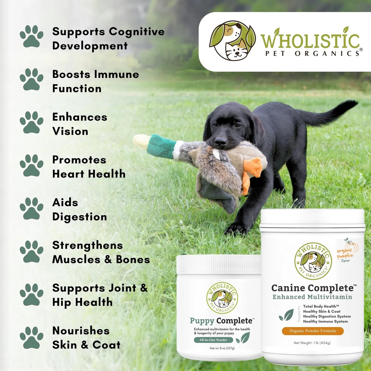 Vitaminas En Polvo Para Cachorros 227g Alivia Picazón Piel Pelaje Brillante Omega 3