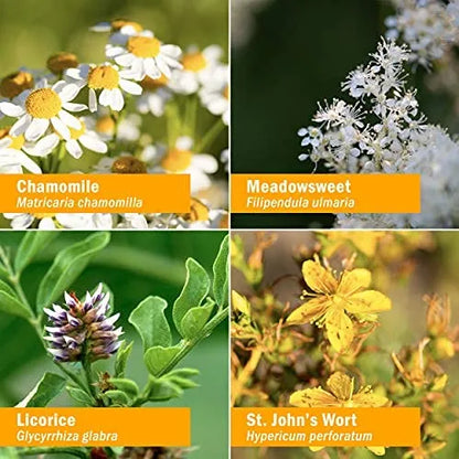 Fórmula Líquida Herbaria Antiinflamatoria Con Cúrcuma 4 Onzas
