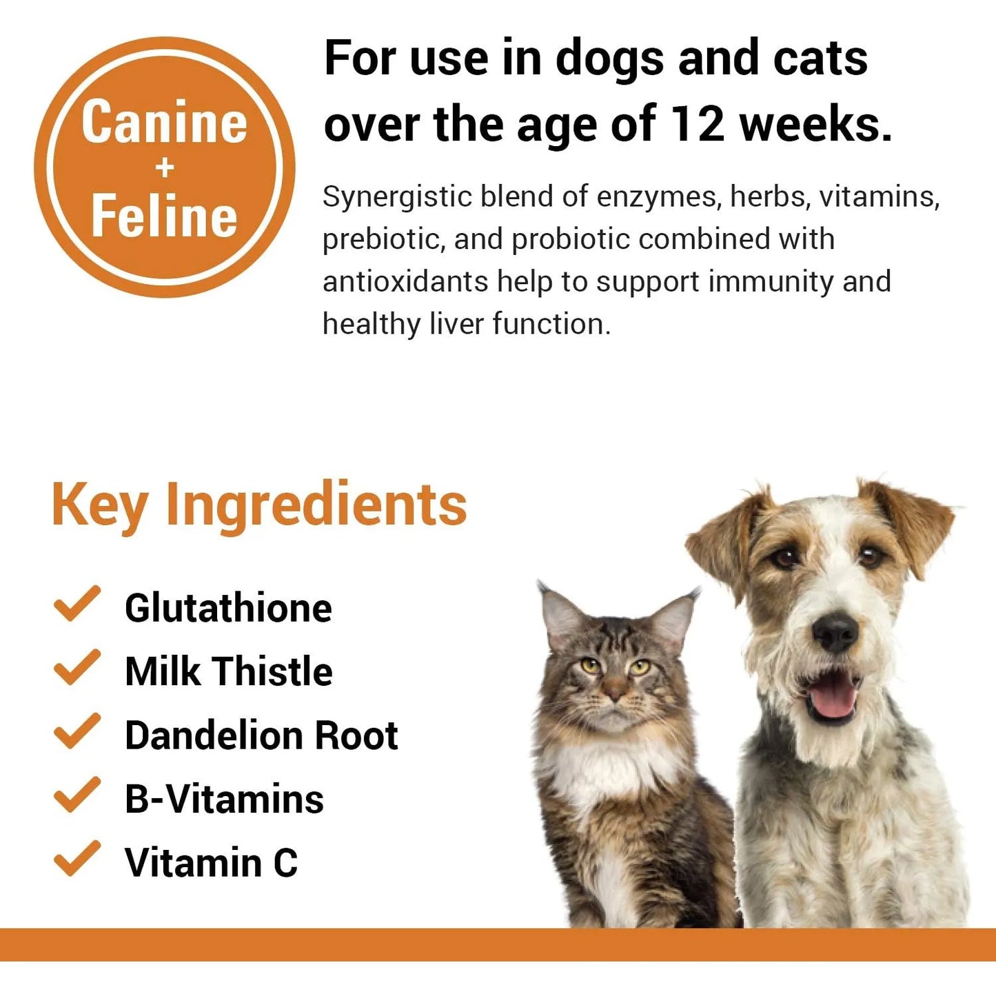 Tabletas Masticables Salud Para Perros Gatos Vitaminas B Glutatión Cardo Mariano