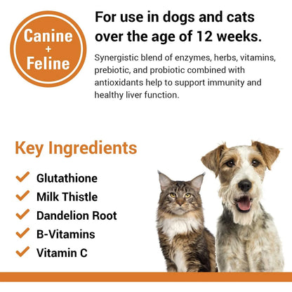 Tabletas Masticables Salud Para Perros Gatos Vitaminas B Glutatión Cardo Mariano