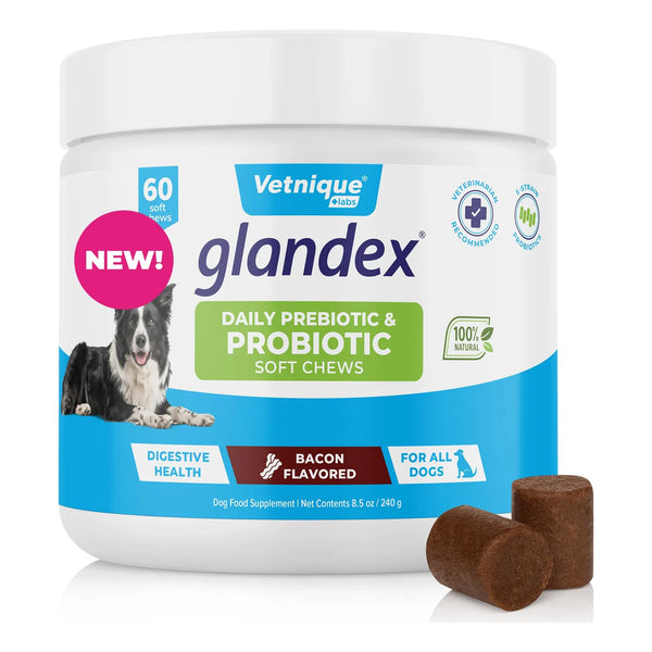 Glandex Probióticos Diarios Para Perros Con Enzimas Digestivas Y Prebióticos Sabor Tocino 60 Masticables