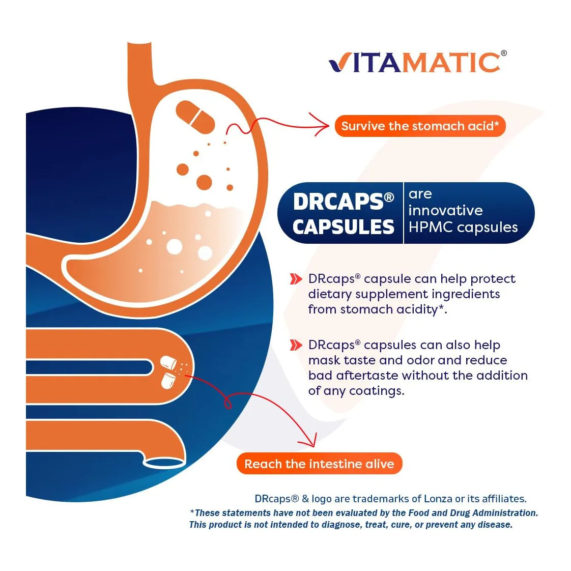 Capsulas Bifidobacterium Infantis 5 Mil Millones Soporte Digestivo 60 Unidades