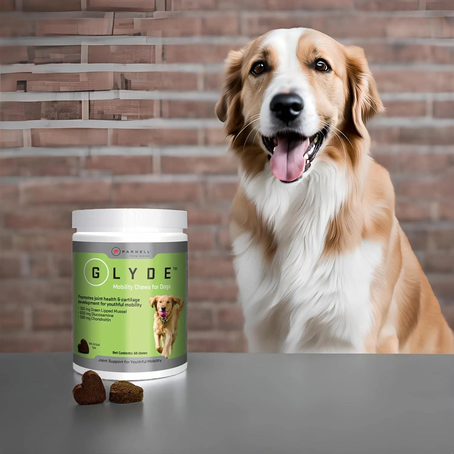 Masticables De Movilidad Para Perros 120 Unidades Apoyo Artr