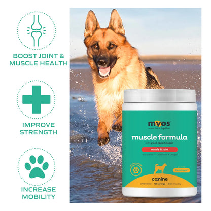 MYOS Músculo Y Articulación Fortetropina Con Mejillón Labial Verde 13.97 Oz Para Perros