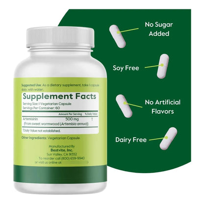 Artemisinina 500mg 60 Cápsulas Veganas Apoyo Inmunológico Y Digestivo