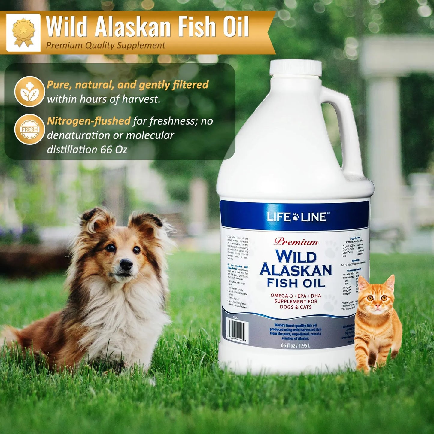 Aceite De Pescado Salvaje De Alaska Omega 3 Para Piel Y Pelo En Perros Y Gatos 66oz