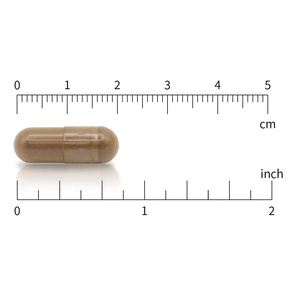 Trans Resveratrol 98 Puro 600 Mg 120 Capsulas Veganas Antioxidante Premium