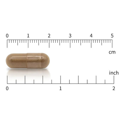 Trans Resveratrol 98 Puro 600 Mg 120 Capsulas Veganas Antioxidante Premium