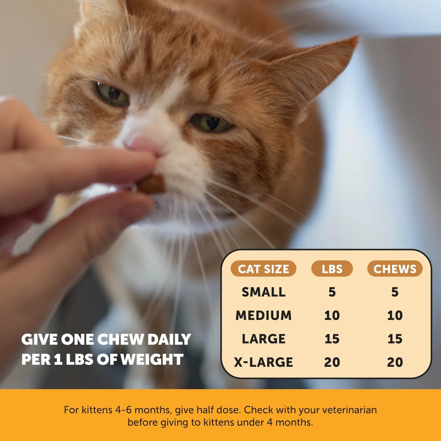 Suplemento Inmunológico Para Gatos Con L Lisina Alivio Alergias Y Estornudos