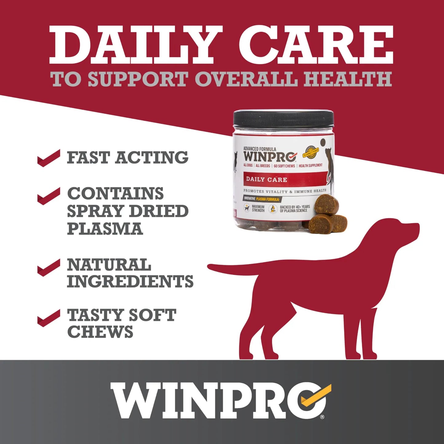 Masticables Saludables Para Perros 40 Unidades Suplemento Inmunidad Y Vitalidad