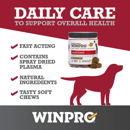 Masticables Saludables Para Perros 40 Unidades Suplemento Inmunidad Y Vitalidad