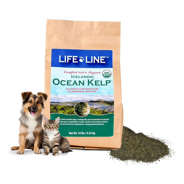 Alga Kelp Organica 4.5 Kg Para Mascotas Dientes Sanos Y Pelaje Brillante
