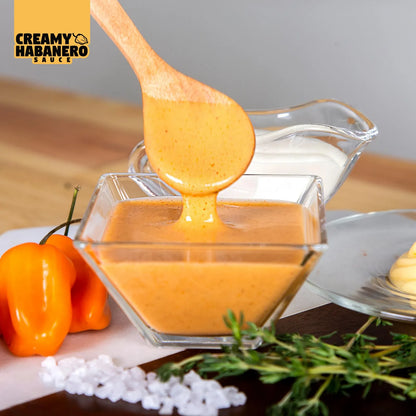 Salsa Habanero Cremosa Mr Wings 1 Galon 128 Fl Oz Picante Cremoso Para Mariscos Pollo