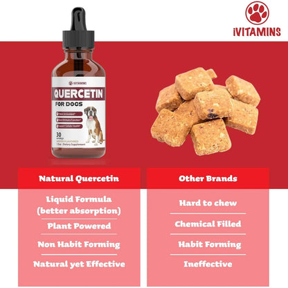 Quercetina Natural Para Perros Alivio Efectivo Alergias Sopo Importado Estados Unidos