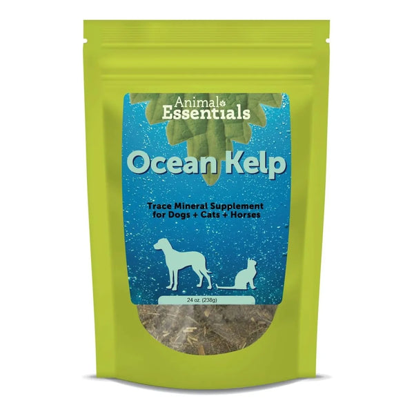Algas Marinas En Polvo Para Perros Y Gatos Apoyo Tiroides Suplemento Mineral 24 Oz