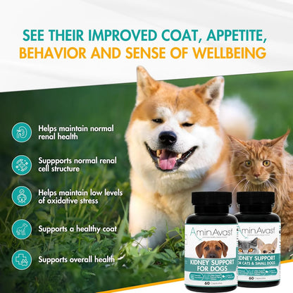 AminAvast Suplemento Renal Para Perros 1000 Mg Paquete 2 Unidades Apoya Funcion Renal Natural