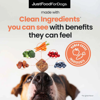 Masticable Multifuncional 10 En 1 Superalimentos Para Perros Salud Articular Piel Y Más
