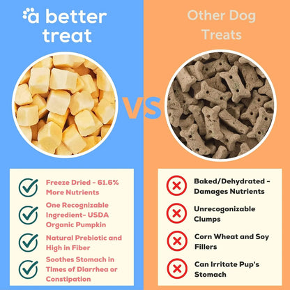 Golosinas Liofilizadas Orgánicas Para Perros Y Gatos Saludab