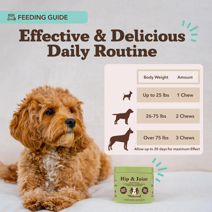 Masticables Hipoalergenicos Para Perros Con Sabor A Higado Salud Articular Y Osea