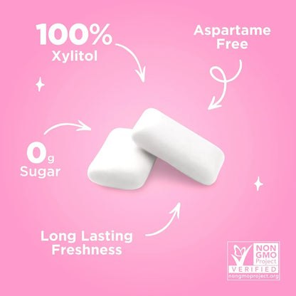 Pur Chicle De Sabor Frutal Con Xilitol Sin Azucar Vegano 12 Unidades
