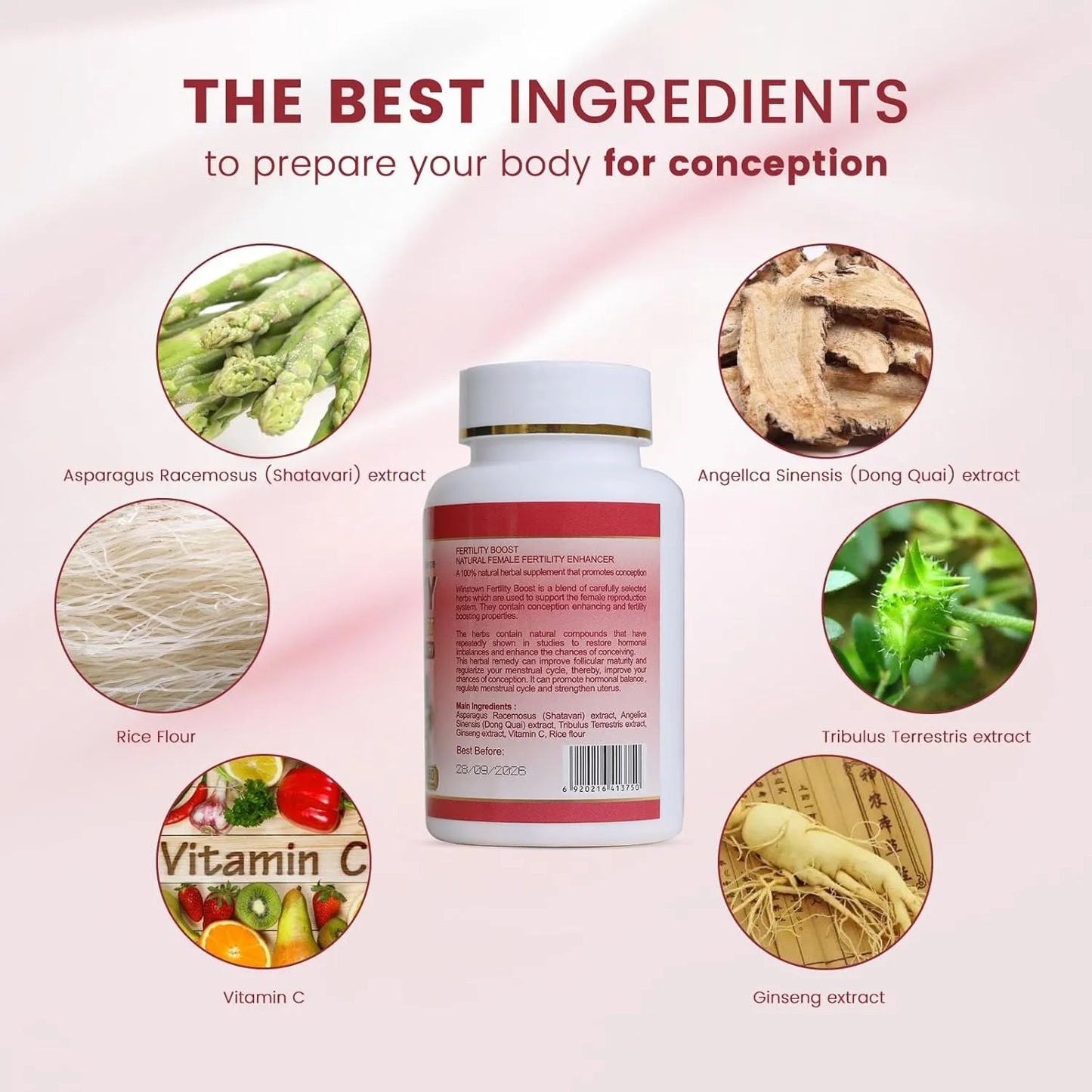 Tabletas Fertilidad Femenina Vitaminas Prenatales Naturales 60 Unidades