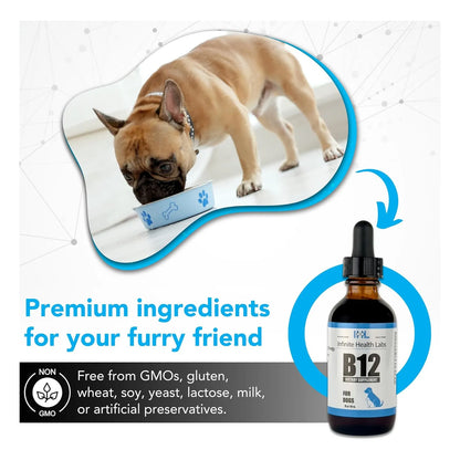Vitamina Líquida B12 Metilcobalamina Para Perros Medianos y Grandes Energía y Vitalidad