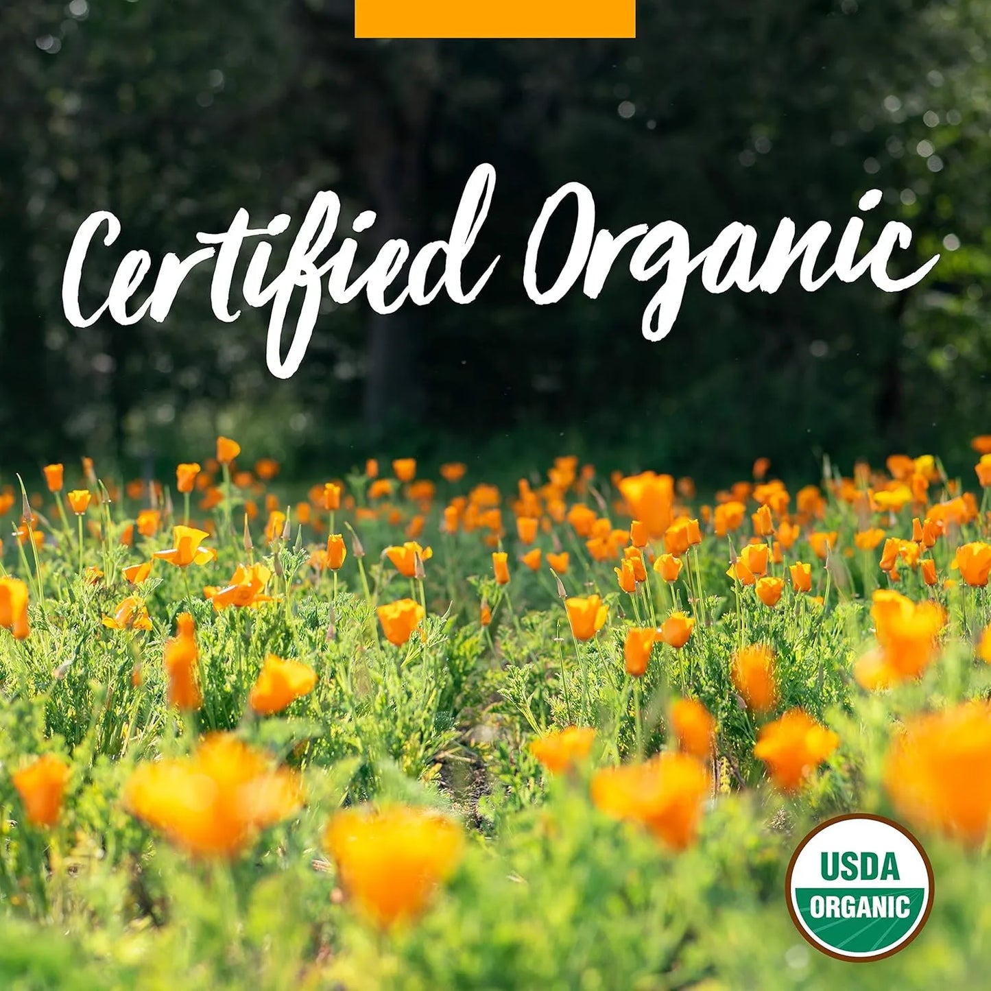 Extracto Liquido Organico De Manzanilla 120 Ml Calma Sistema Nervioso