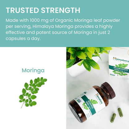 Moringa Himalaya 1000 Mg 60 Cápsulas Superalimento Antioxidante Vegano