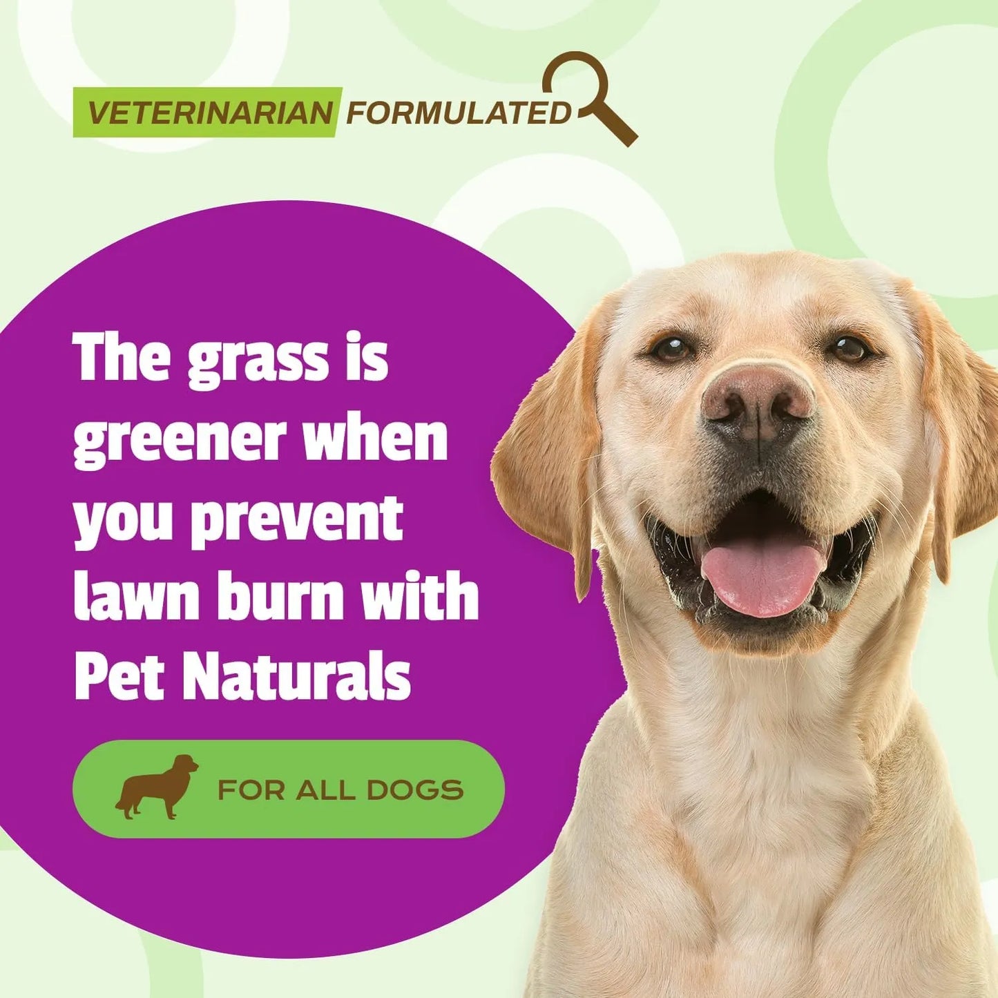 Neutralizador Orina Perro Césped 60 Masticables Sabor Pollo Protege Jardín Y Salud