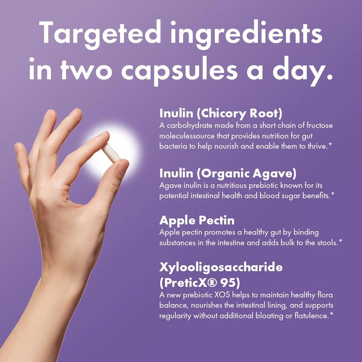 Fibra Prebiótica 4 Ingredientes Inulina Pectina Salud Intestinal Sistema Inmunológico