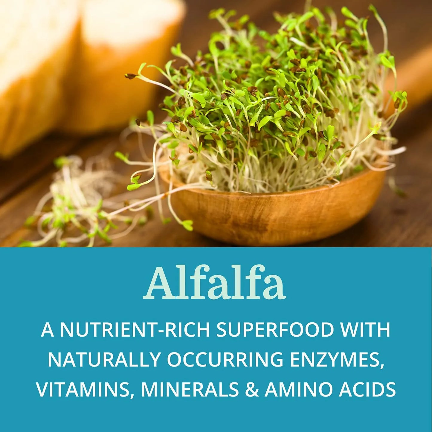 SuperDigest Best Process Alkaline Soporte Digestivo Multienzimático Con Alfalfa Papaína Y Bromelina