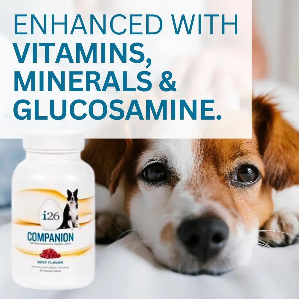 Nutricion Masticable Para Perros I26 Cachorros Y Adultos 60 Tabletas Sabor Carne