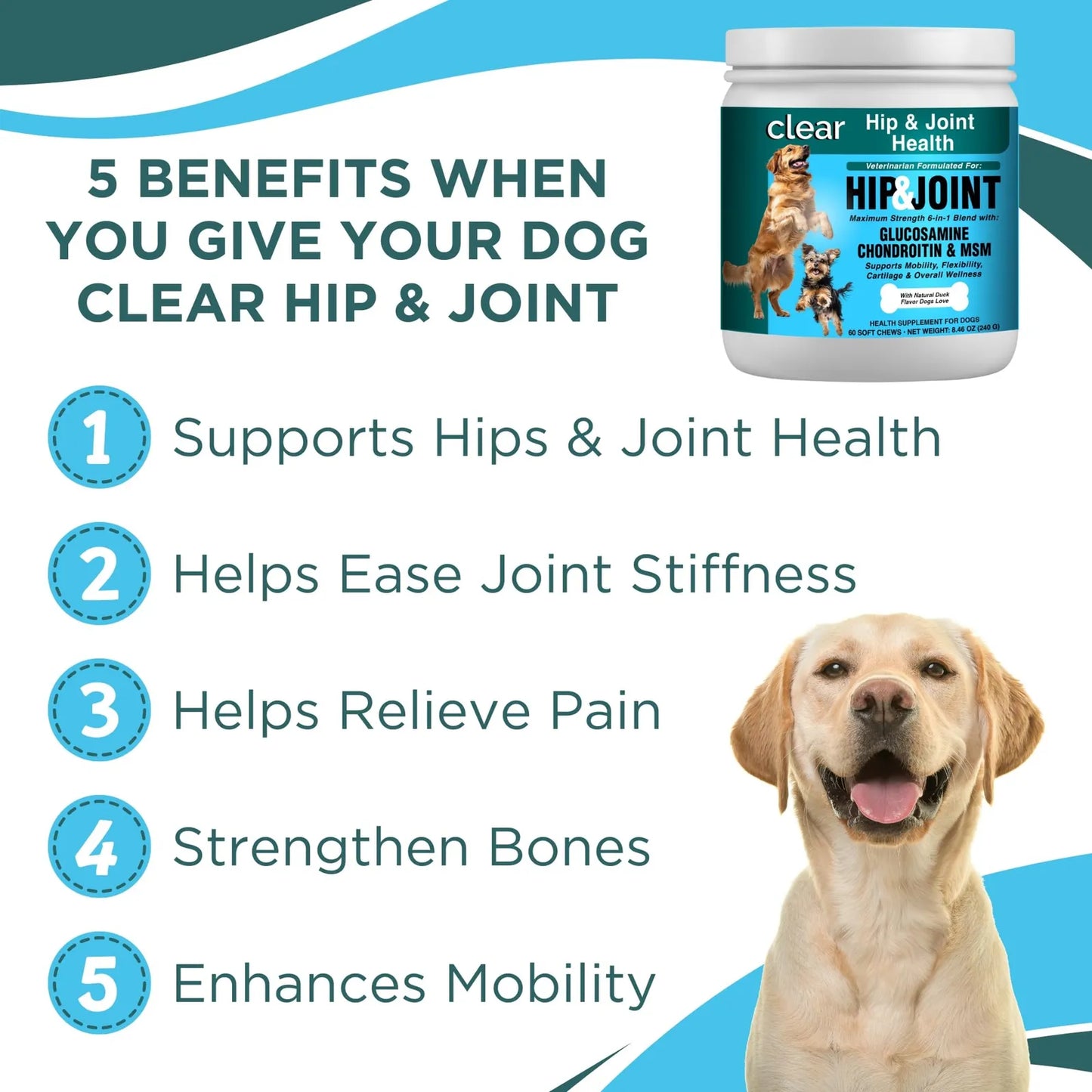 Suplemento Articulaciones Perro Condroitina Glucosamina MSM Mejillon Labios Verdes Movilidad Cadera