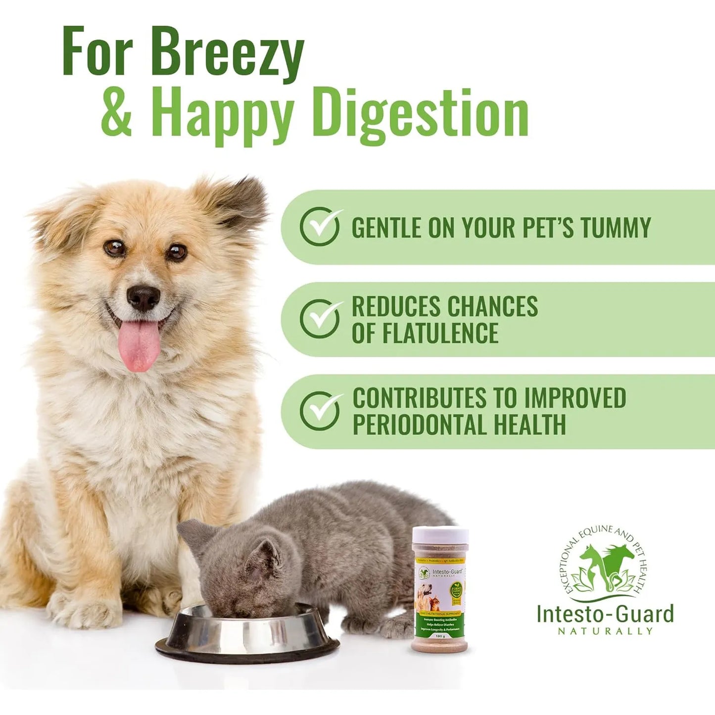 Probiótico En Polvo Para Perros Y Gatos Intesto Guard Apoyo Inmunológico Y Digestivo