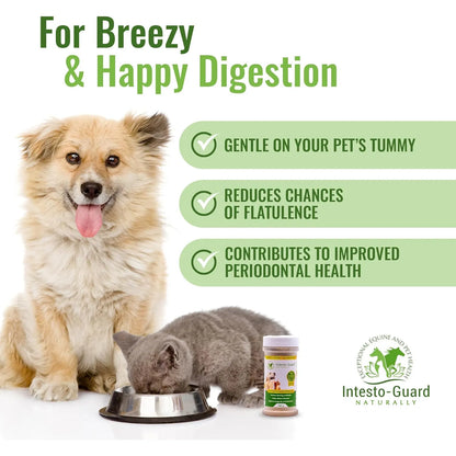 Probiótico En Polvo Para Perros Y Gatos Intesto Guard Apoyo Inmunológico Y Digestivo